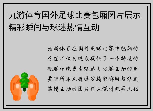 九游体育国外足球比赛包厢图片展示精彩瞬间与球迷热情互动